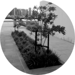 Maintain a hydrologic balance