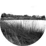 Protect waterways and waterbodies