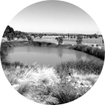 Make space for waterways and overland flow paths